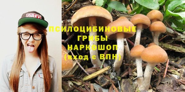 соль курить ск Алексеевка